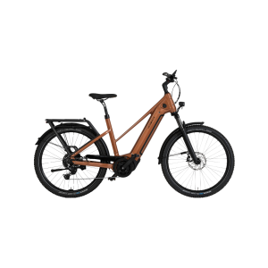 VAE électrique – SEB 890